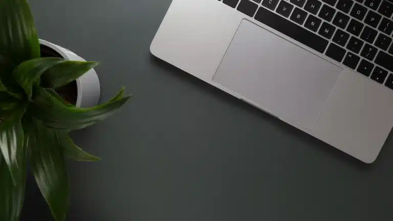web development company pune